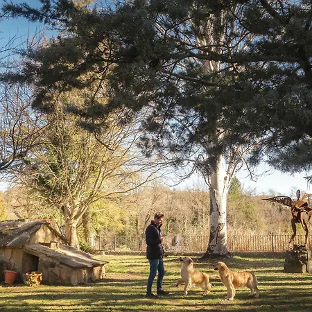 Casa Alfonso 그라우스